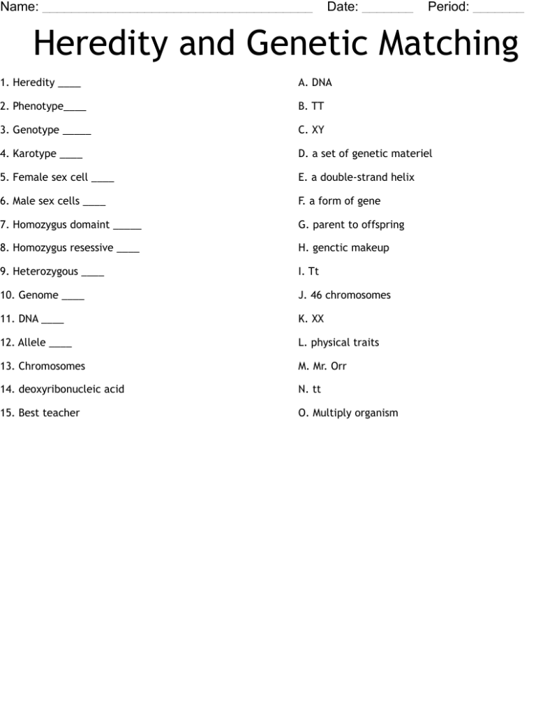 Heredity And Genetic Matching Worksheet WordMint