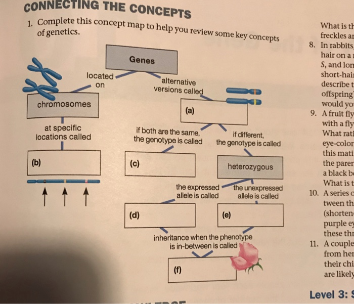 Heredity Concept Map Answer Key Map Of World