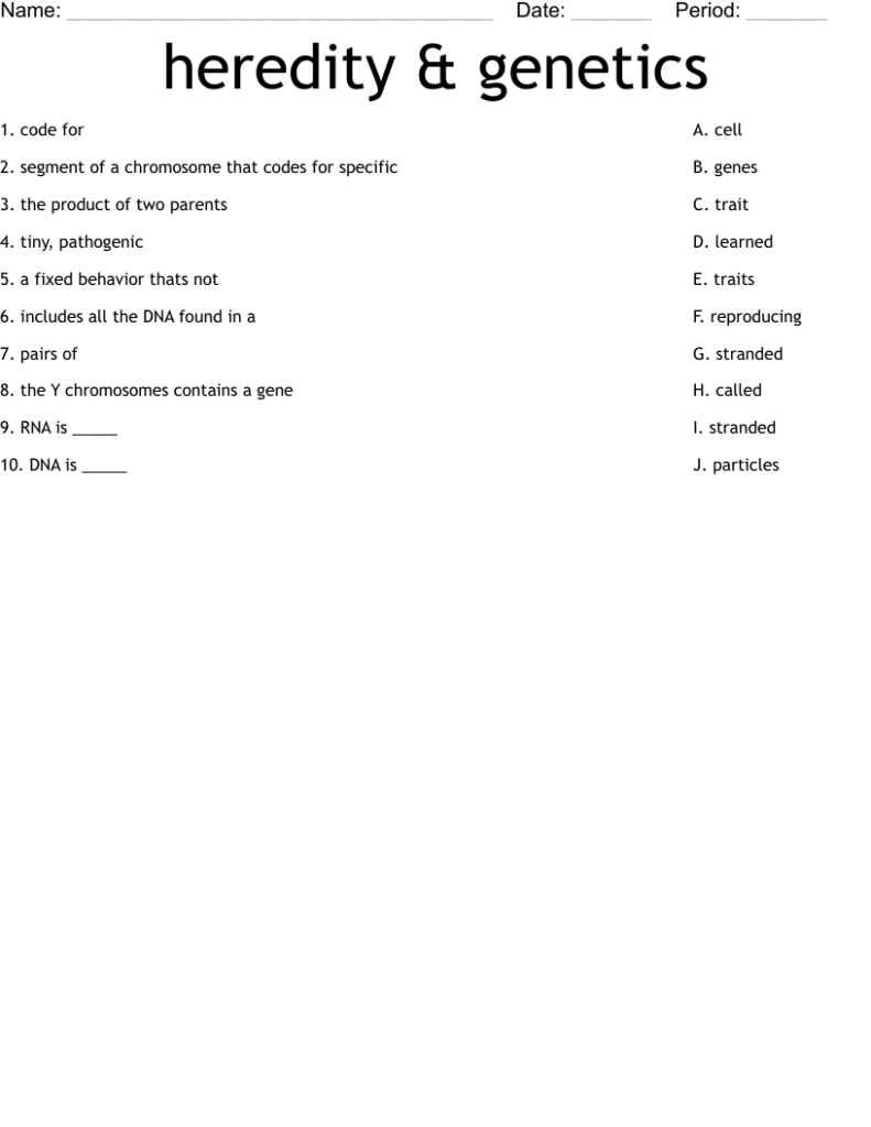 Heredity Genetics Worksheet WordMint