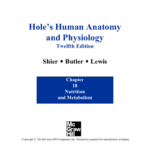 Hole s Anatomy And Physiology Worksheets Anatomy Worksheets