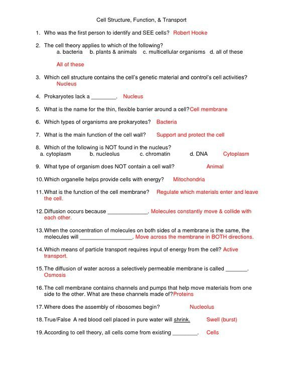 Holt Biology Cells And Their Environment Directed Reading Free 