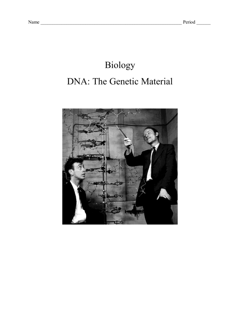 Holt Biology Dna The Genetic Material Skills Worksheet 