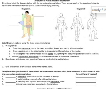 Human Anatomy Anatomical Body Planes Brain Scan Activity And Worksheet