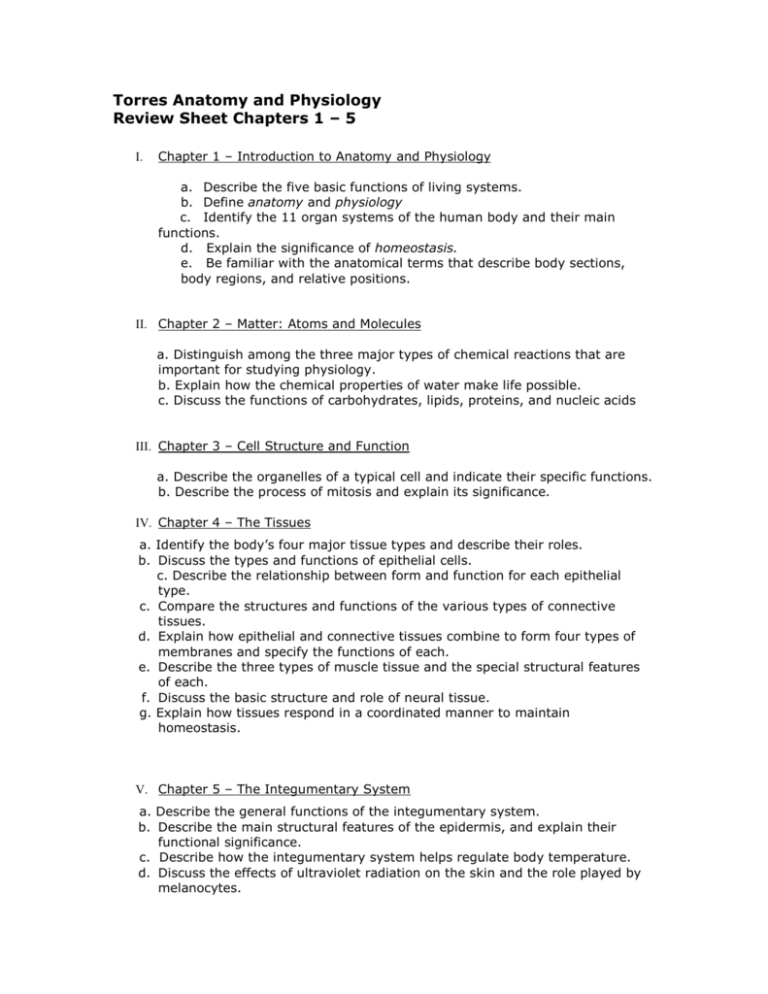 Human Anatomy And Physiology Chapter 3 Cells And Tissues Answer Key 