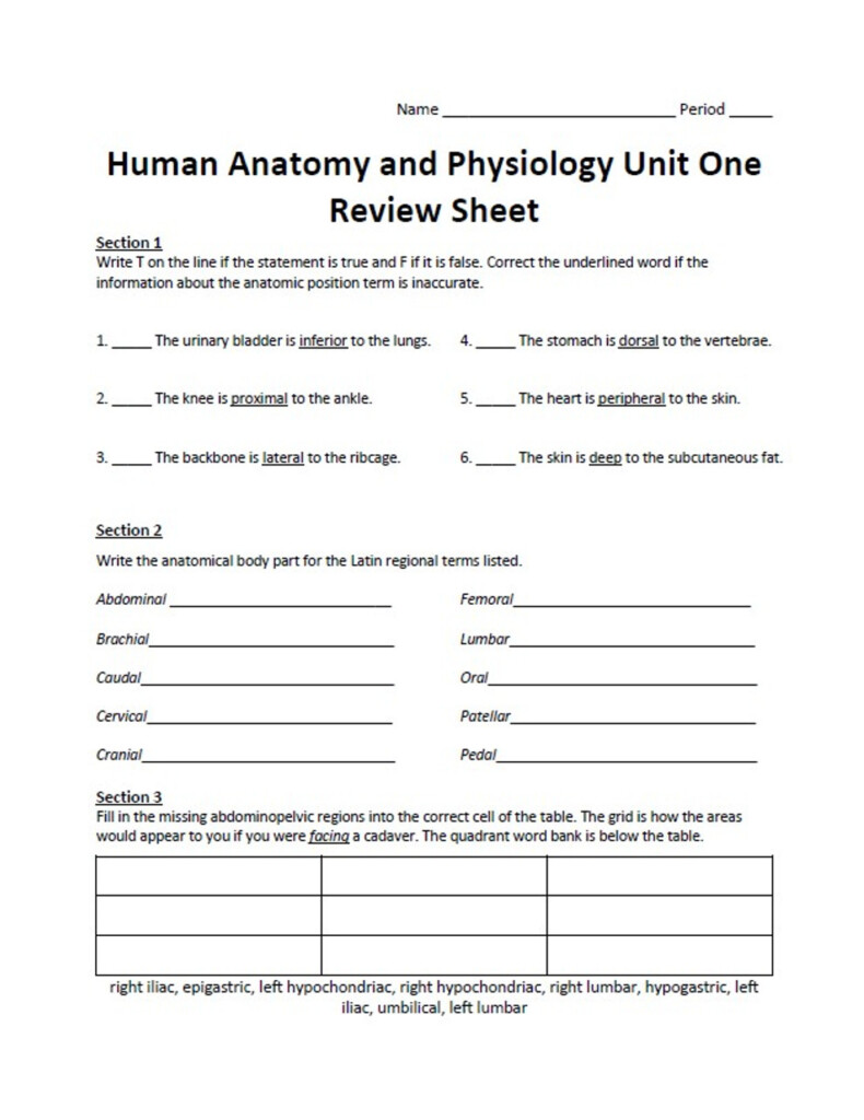 Human Anatomy And Physiology Unit One Review Sheet Worksheets Library