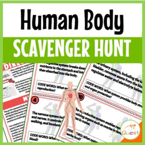 Human Body Anatomy Physiology Scavenger Hunt For Grades 4 7 TPT