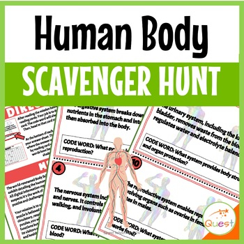 Human Body Anatomy Physiology Scavenger Hunt For Grades 4 7 TPT