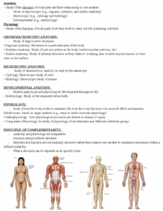 Human Body Chapter 1 Anatomy Study Of The Structure Of Body Parts And