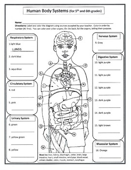 Human Body Systems for 5th And 6th Grades By Biology Buff TPT