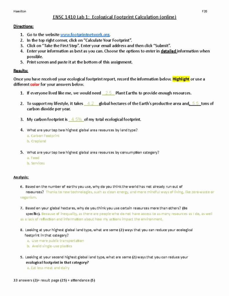 Human Footprint Worksheet Answers Pro Worksheet