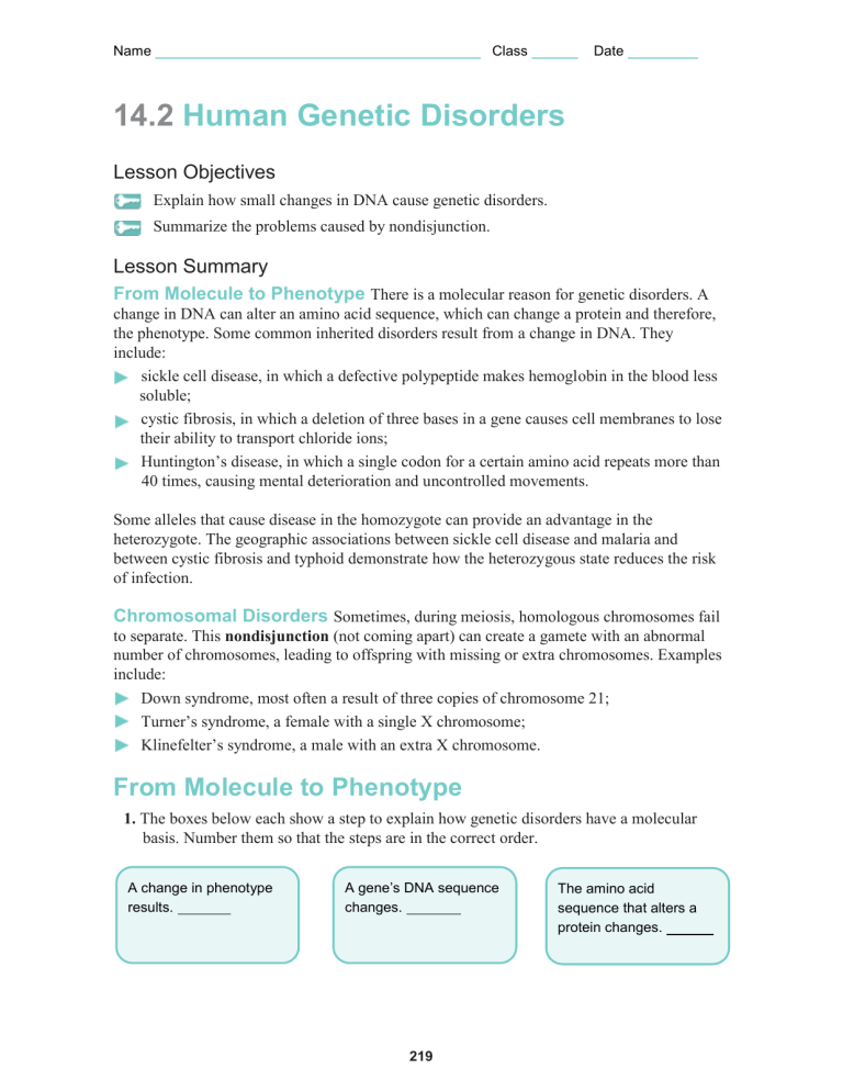 Human Genetic Disorders Worksheet