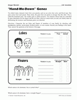 Human Genetic Traits Worksheet