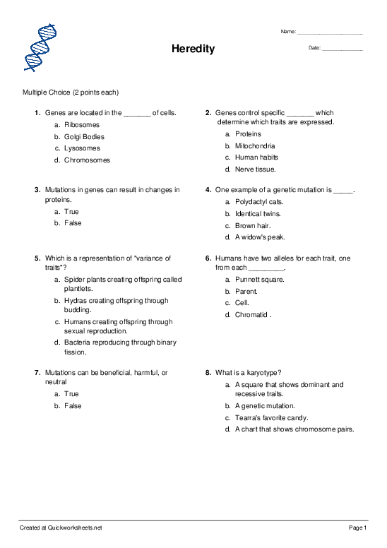 Human Genetic Traits Worksheet