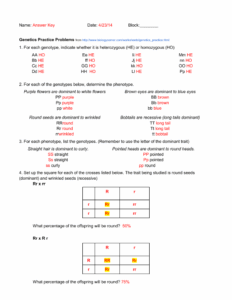 Human Genetics Practice Worksheet 3 Answers