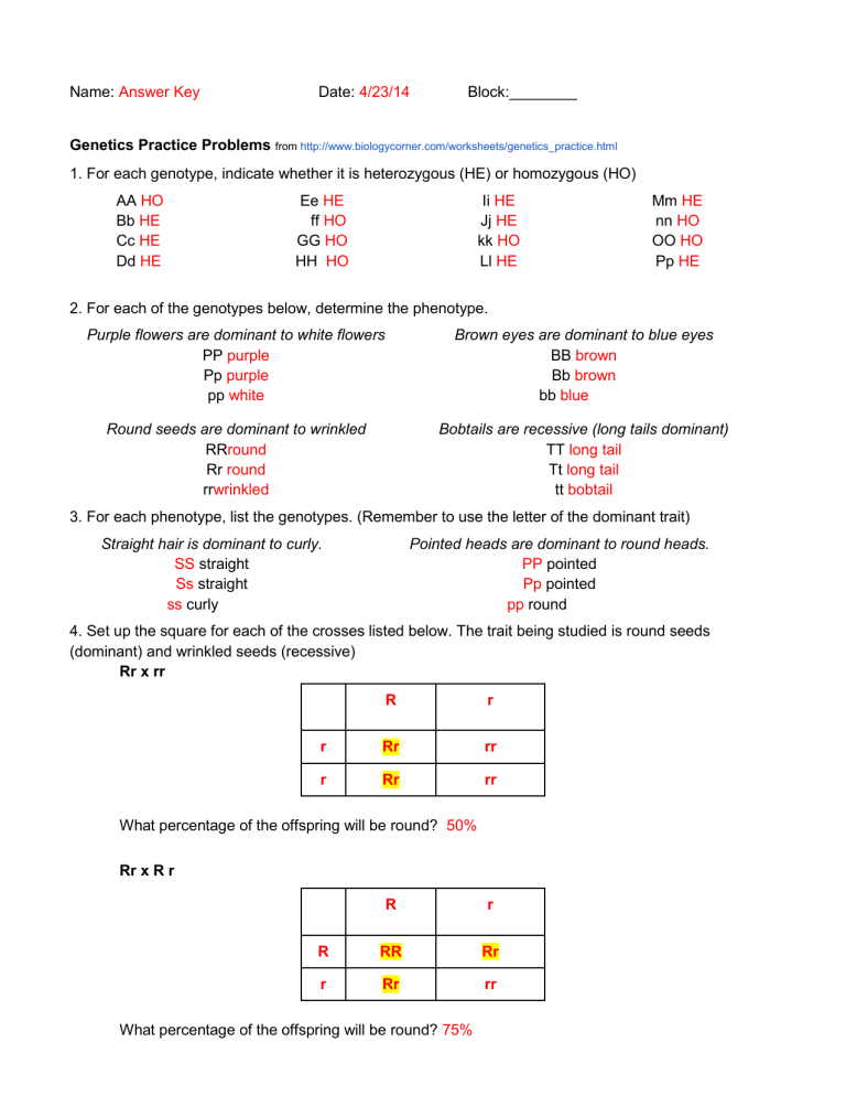 Human Genetics Practice Worksheet 3 Answers