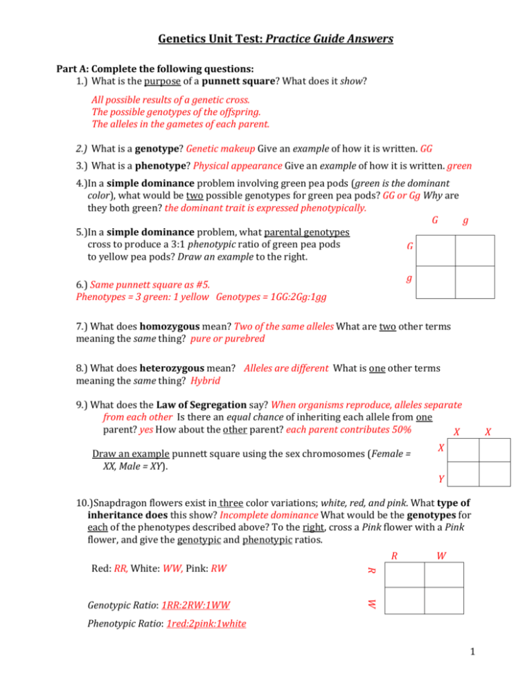 Human Genetics Practice Worksheet 3 Answers
