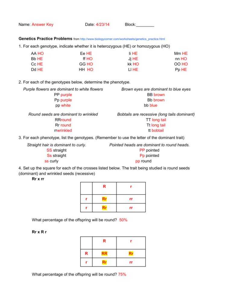 Human Genetics Practice Worksheet 3 Key