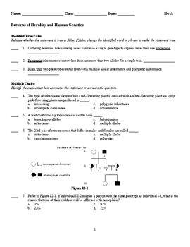 Human Genetics Worksheet Answers Ch 14 Human Heredity 