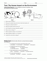 Human Impact On Ecosystems Worksheet