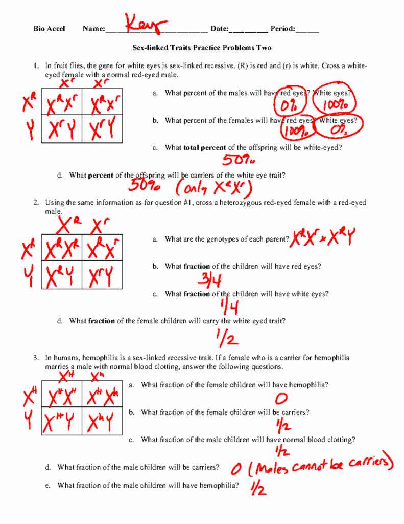 Human Inheritance Worksheet