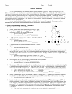 Human Pedigrees Worksheet Answer Key