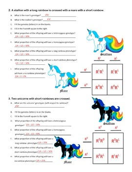 Incomplete Dominance Activity Blending Worksheet Unicorn Genetics 