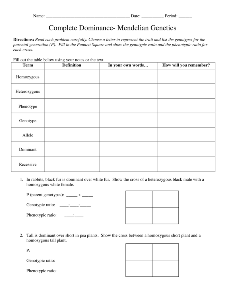 Incomplete Dominance Punnett Square Worksheet