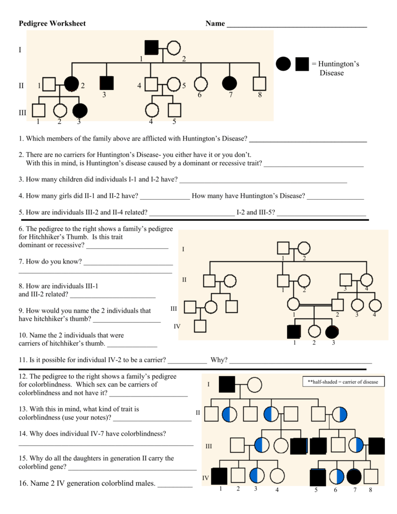Interpreting A Human Pedigree Worksheet Key