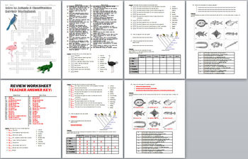 Intro To Animals And Classification Review Worksheet And Teacher Key