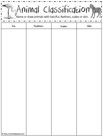 Intro To Animals And Classification Review Worksheet Classif