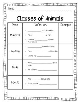 Intro To Animals And Classification Review Worksheet