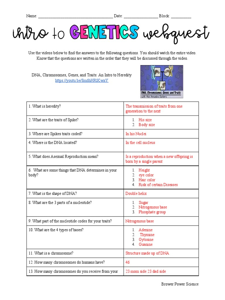 Intro To Genetics WebQuest PDF Dominance Genetics Genotype 