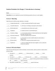 Introduction To Anatomy Student Worksheet For Chapter 7 Course Hero