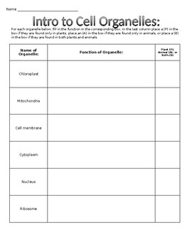 Introduction To Cells Worksheet Escolagersonalvesgui