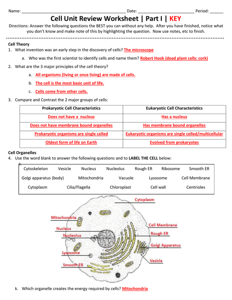 Introduction To Cells Worksheet