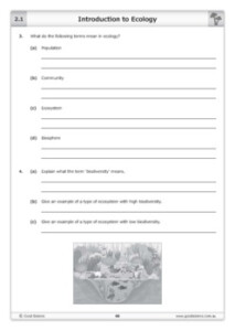 Introduction To Ecology Worksheet By Good Science Worksheets TPT