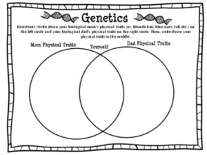 Introduction To Genetics Worksheet By Awe inspiring Teaching TpT