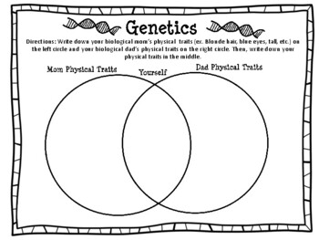 Introduction To Genetics Worksheet By Awe inspiring Teaching TpT