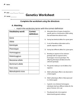 Introduction To Genetics Worksheet Key