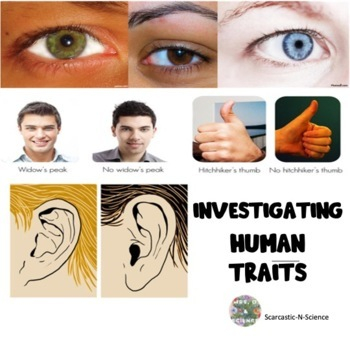 Investigating Human Traits By Scarcastic N Science TpT