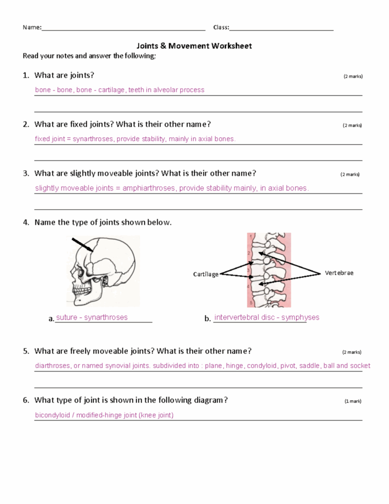 Joints And Movement Worksheet