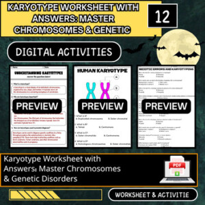 Karyotype Worksheet With Answers Master Chromosomes Genetic Disorders