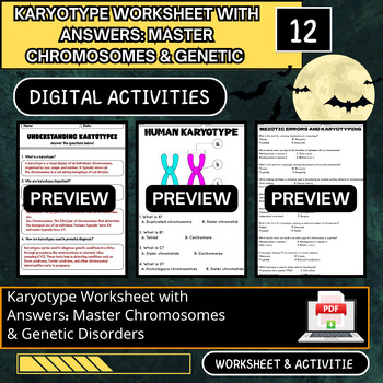Karyotype Worksheet With Answers Master Chromosomes Genetic Disorders