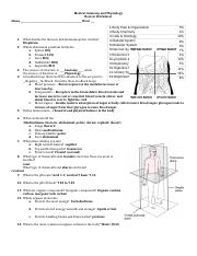 KEY For MAP CTE And SLCC FINAL REVIEW doc Medical Anatomy And 