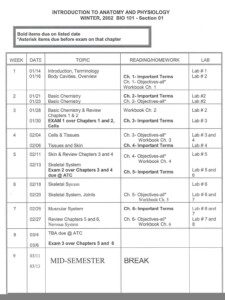 Knee Anatomy Chapter 16 Worksheet 1 Anatomy Worksheets