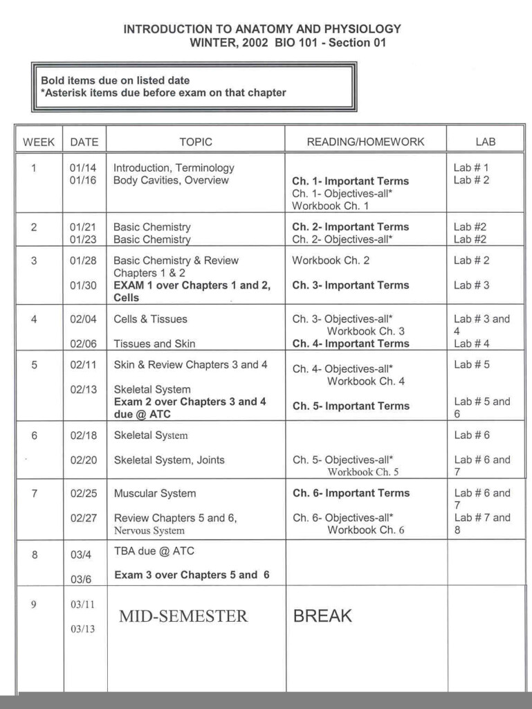 Knee Anatomy Chapter 16 Worksheet 1 Anatomy Worksheets