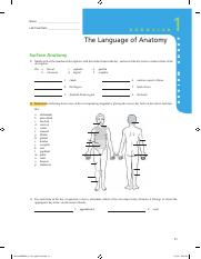 Lab 1 The Language Of Anatomy pdf E X E R C I S E The Language Of 