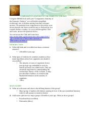 Lab 8 Comparative Anatomy Of A Chicken Worksheet docx Great 