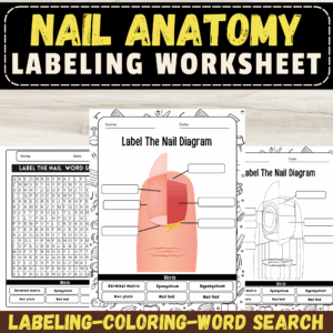 Label The Nail Diagram Nail Anatomy Labeling Worksheets And