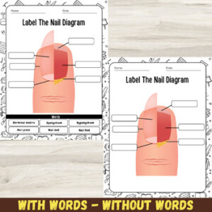 Label The Nail Diagram Nail Anatomy Labeling Worksheets And Activities
